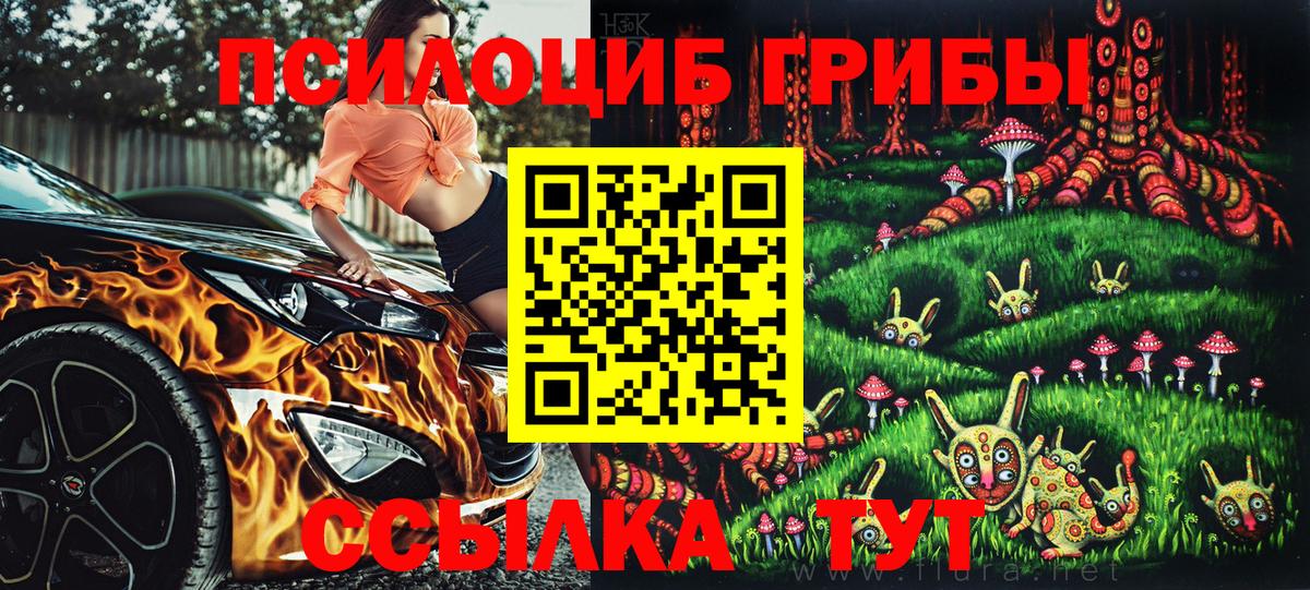 Псилоцибиновые грибы Psilocybine cubensis Алейск